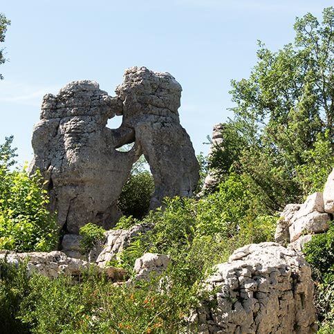 rocher ours et lion bois de paiolive